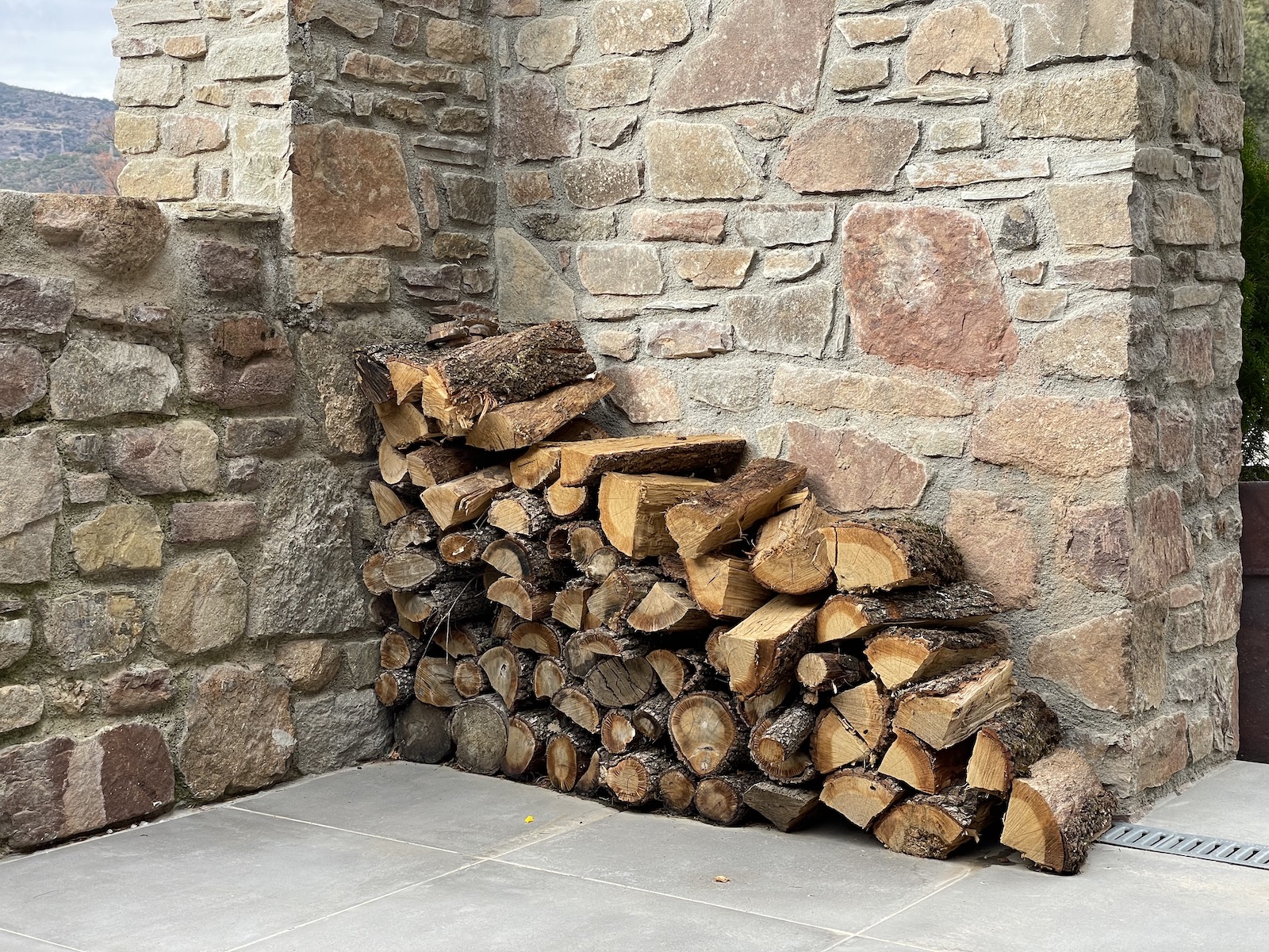 Recepción - Entrada